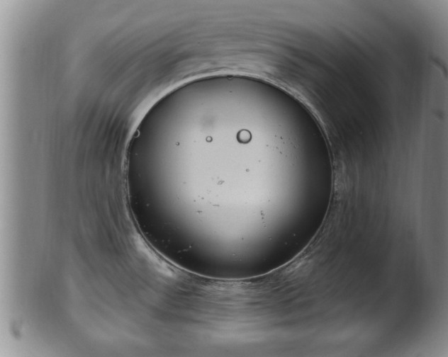 X0000102361532200808081119