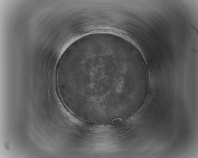 X0000102361533200808081119