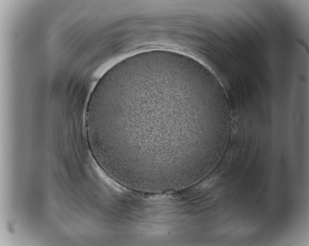 X0000102361535200808081119
