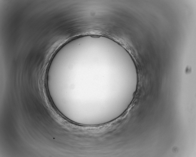 X0000102360001200808151823