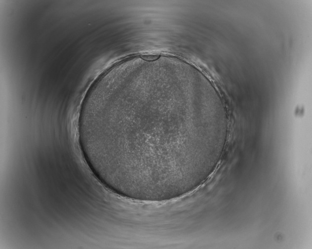 X0000102360002200808151823