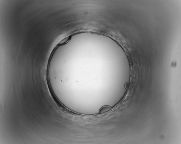 X0000102360003200808151823