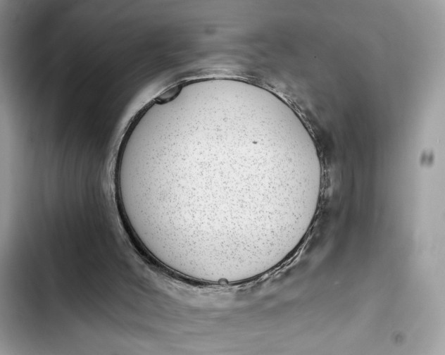 X0000102360004200808151823