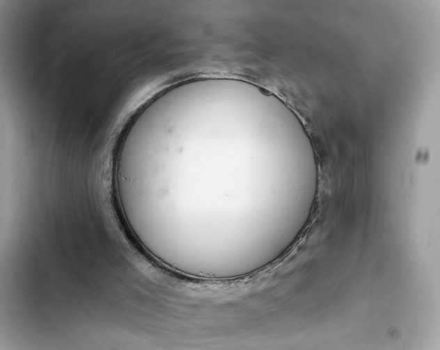 X0000102360005200808151823