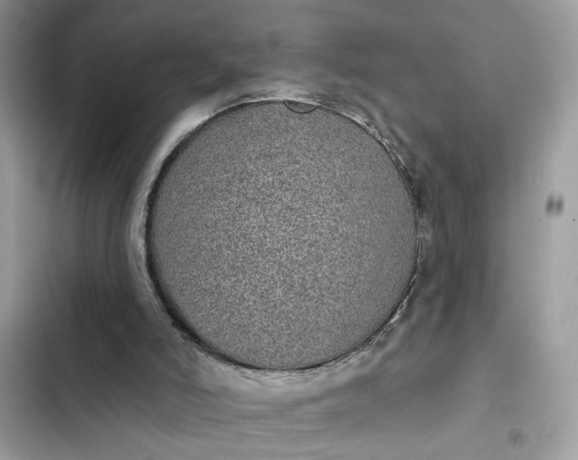 X0000102360006200808151823