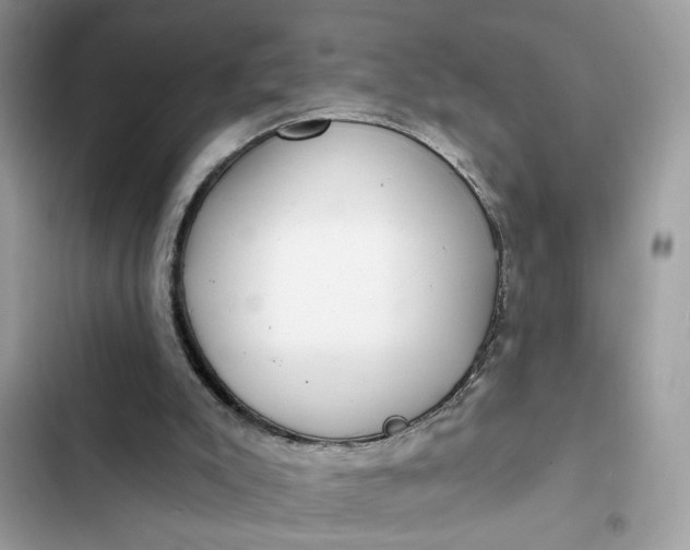 X0000102360007200808151823