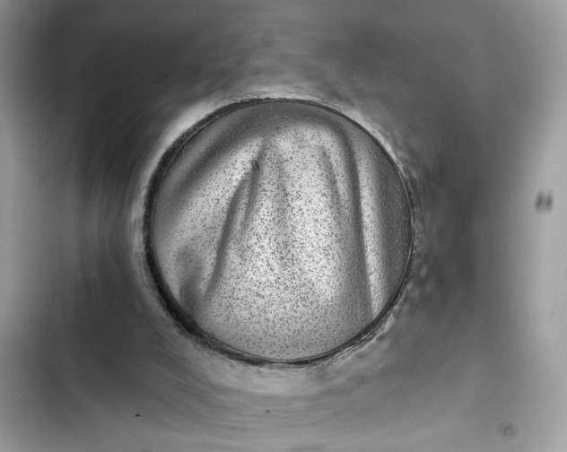 X0000102360008200808151823