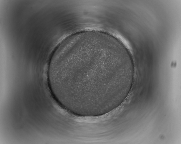 X0000102360009200808151823