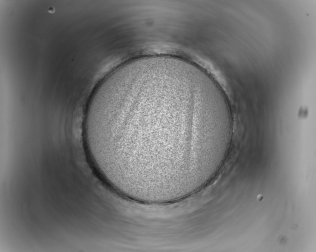 X0000102360010200808151823