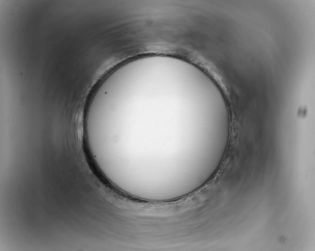 X0000102360011200808151823