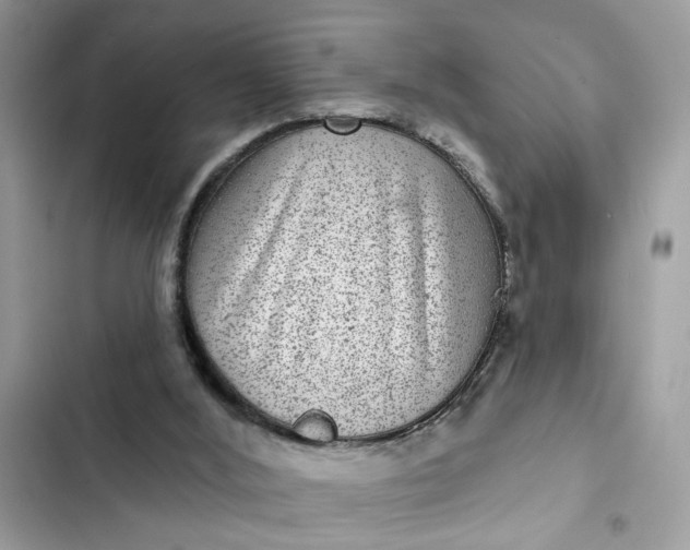 X0000102360012200808151823