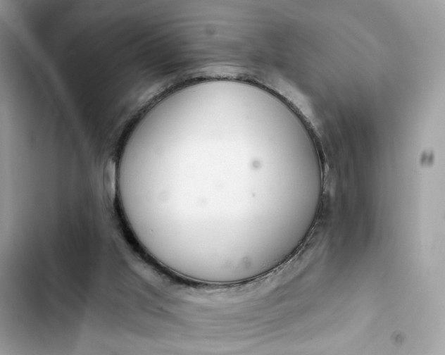 X0000102360013200808151823