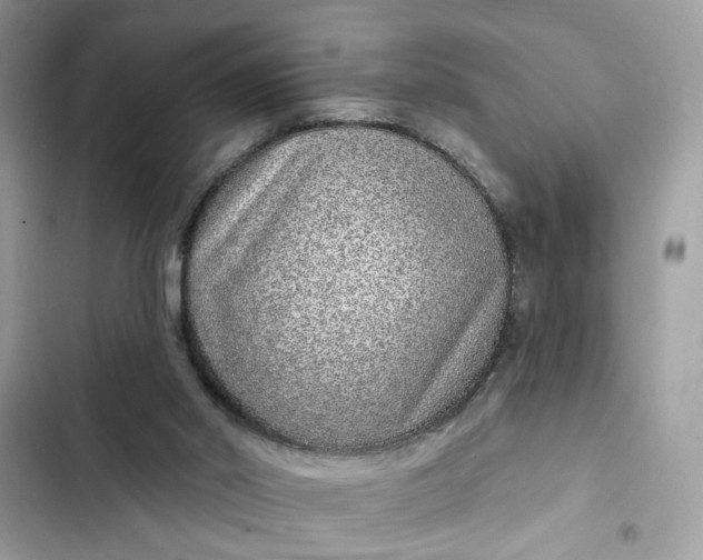 X0000102360014200808151823