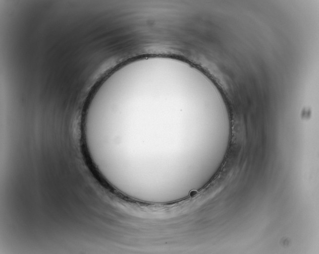 X0000102360015200808151823