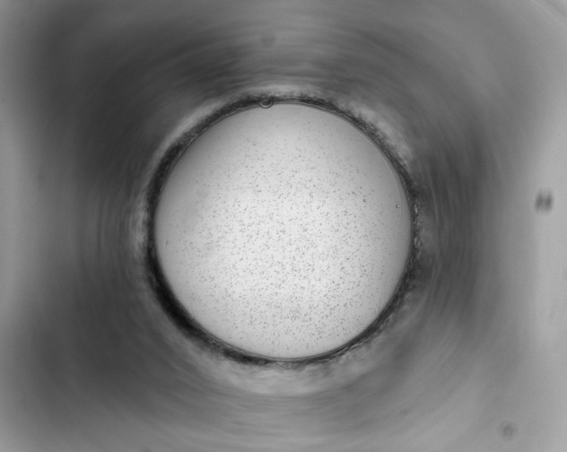 X0000102360016200808151823