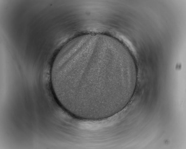 X0000102360017200808151823