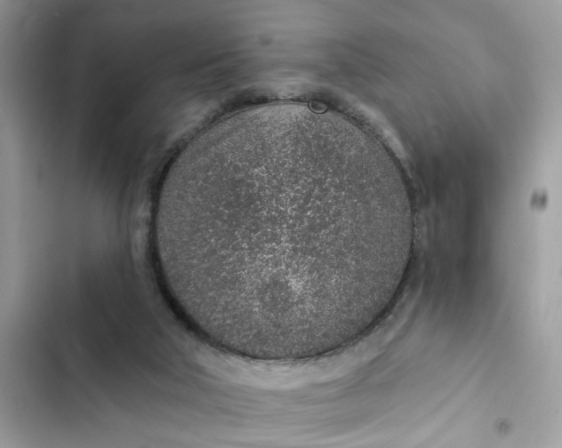 X0000102360018200808151823