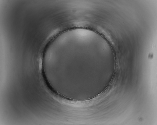 X0000102360019200808151823