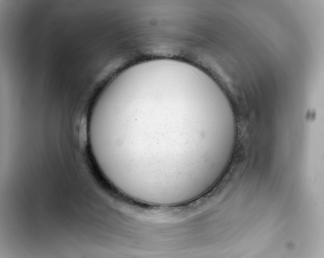 X0000102360020200808151823