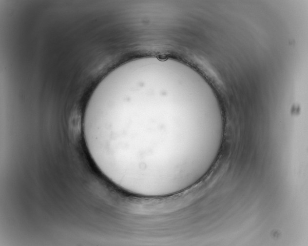 X0000102360021200808151823