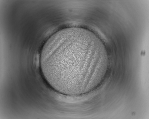 X0000102360022200808151823