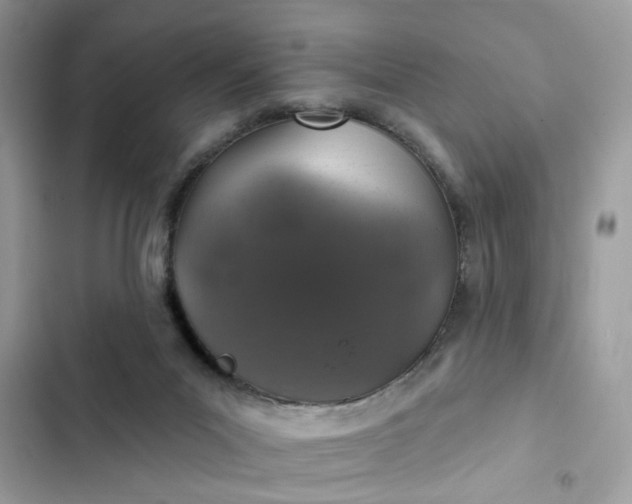 X0000102360023200808151823