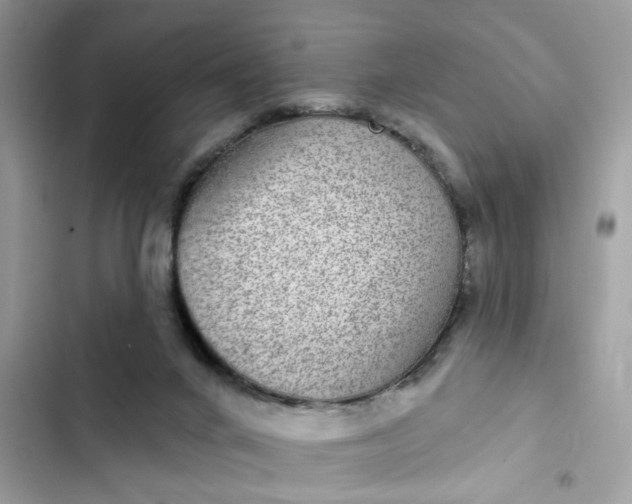 X0000102360024200808151823