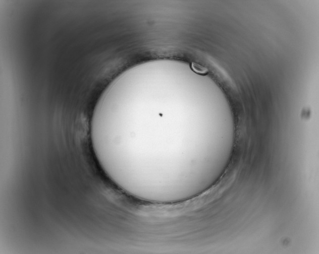 X0000102360025200808151823