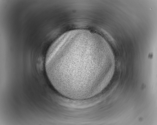 X0000102360026200808151823