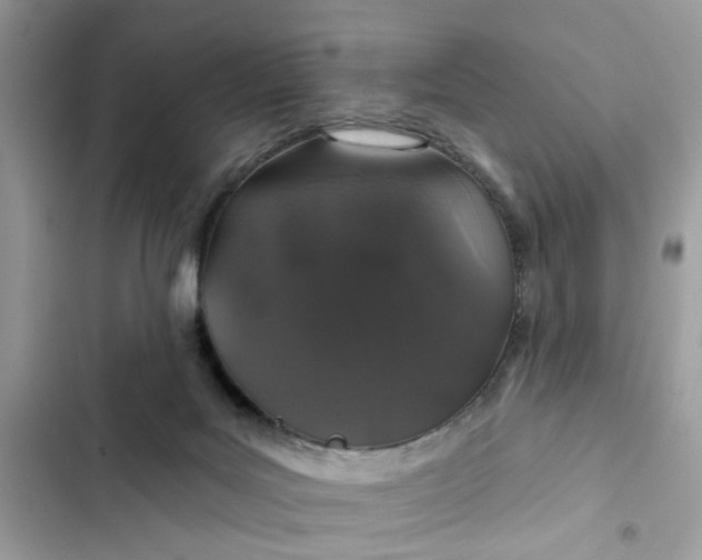 X0000102360027200808151823