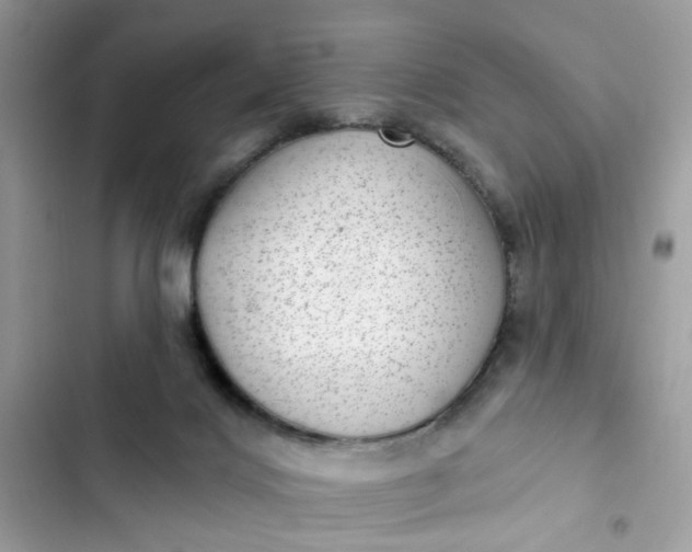 X0000102360028200808151823