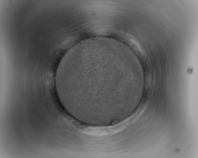 X0000102360029200808151823