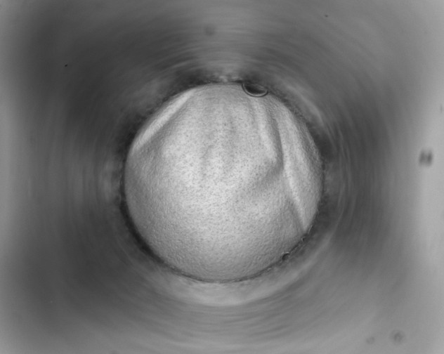 X0000102360030200808151823