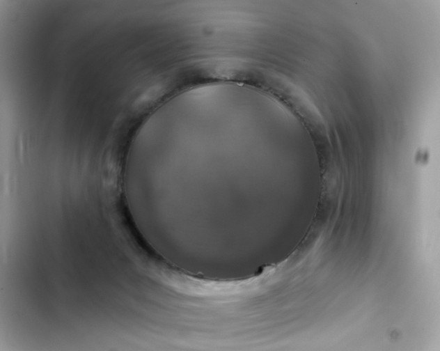 X0000102360031200808151823