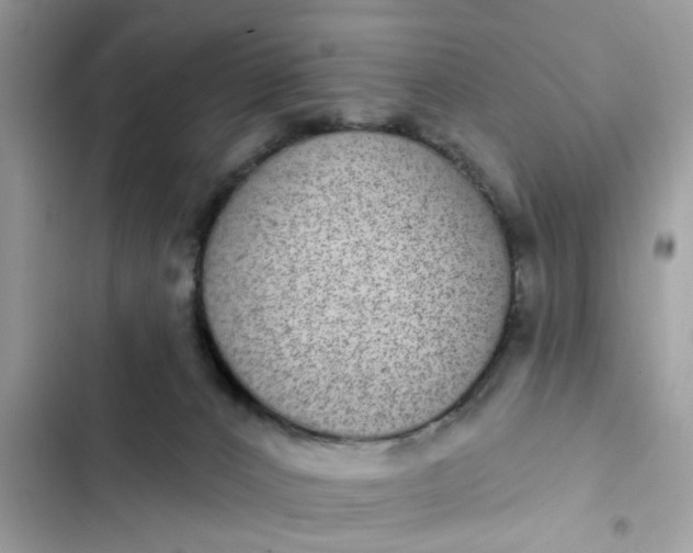 X0000102360032200808151823