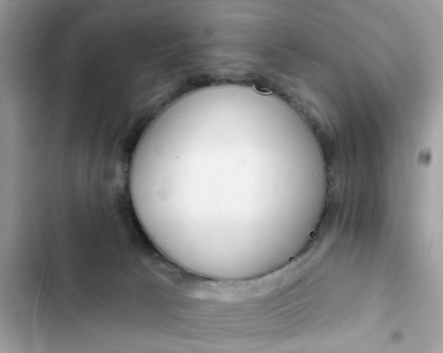 X0000102360033200808151823