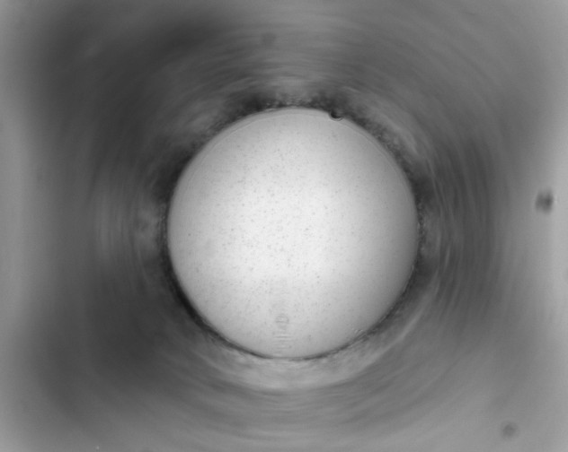 X0000102360034200808151823