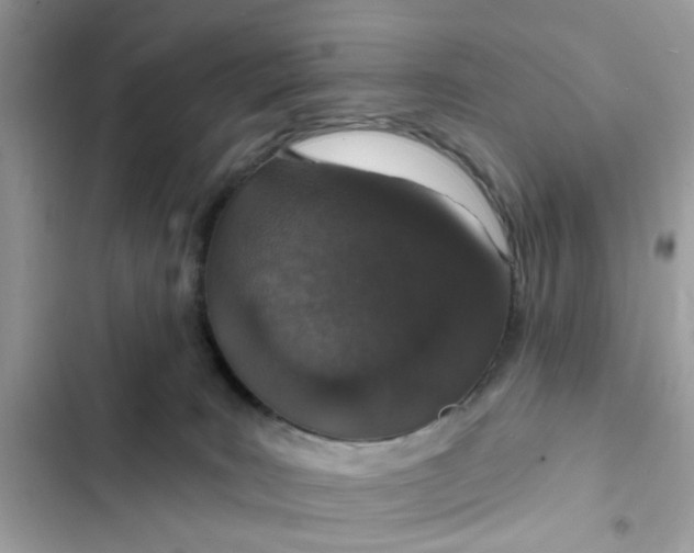 X0000102360035200808151823