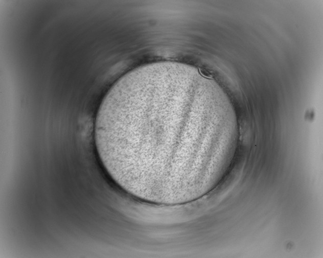 X0000102360036200808151823