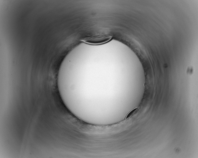 X0000102360037200808151823