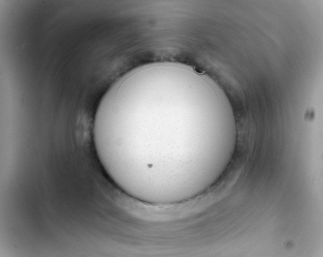 X0000102360038200808151823