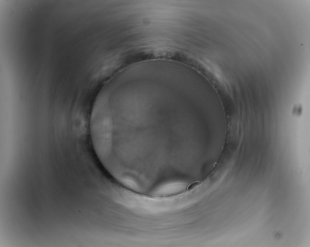 X0000102360039200808151823