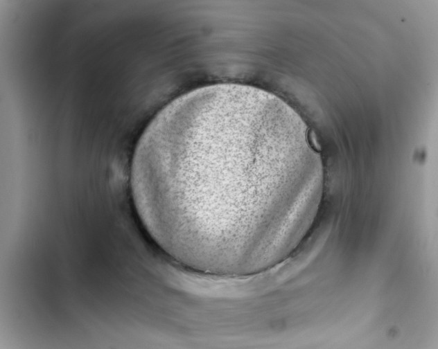 X0000102360040200808151823