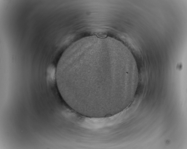 X0000102360041200808151823