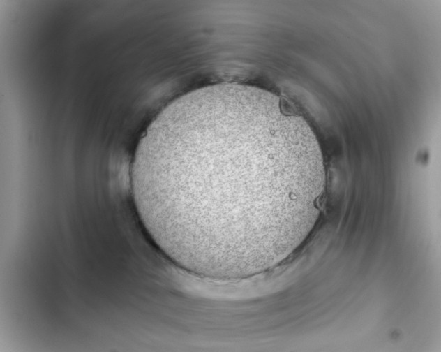 X0000102360042200808151823