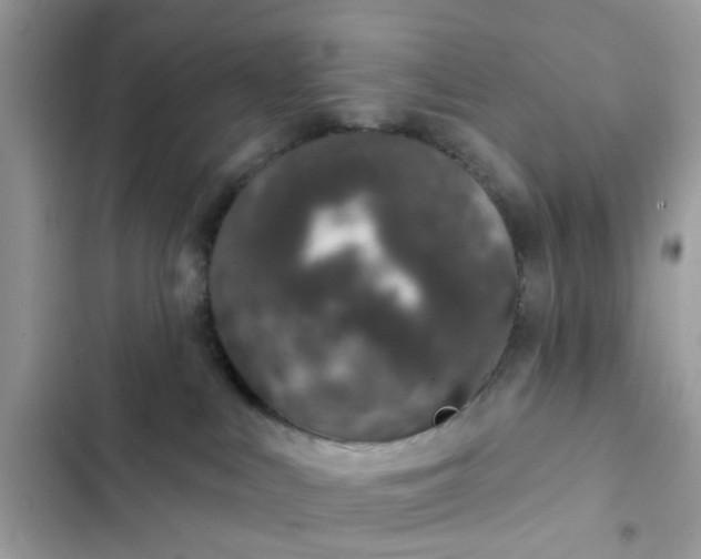 X0000102360043200808151823