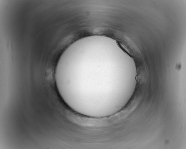 X0000102360044200808151822