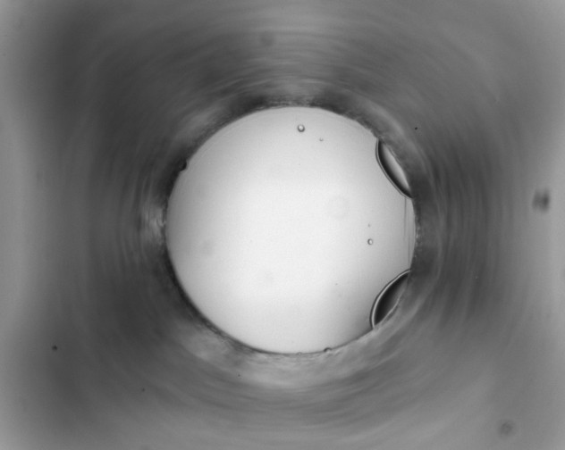 X0000102360045200808151822