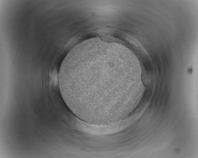 X0000102360046200808151822