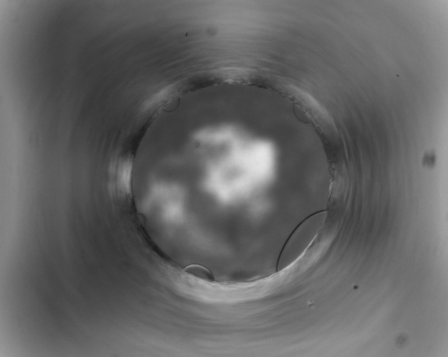 X0000102360047200808151822